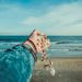 person throwing seashells on seashore